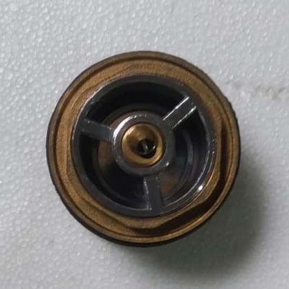 Brass Polished Brass Popup Waste for Bathtubs